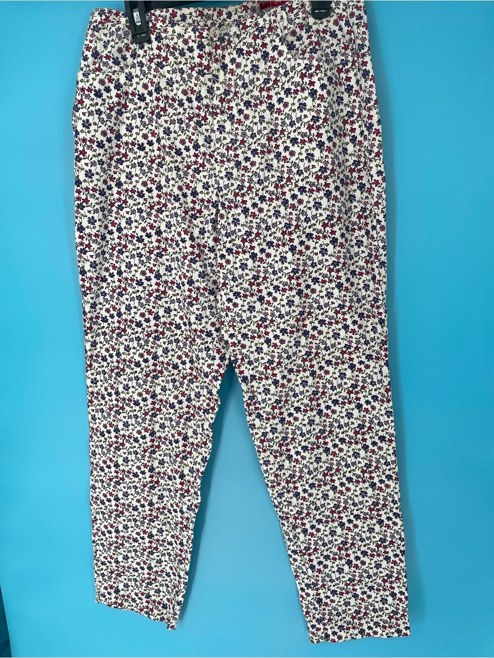 Faded Glory Cream Ankle Pants with Red‎ & Blue Floral Print